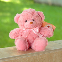 Мягкая игрушка Медведь DL104000243NP